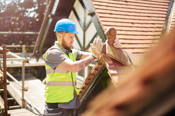Best Roof Gutter Cleaning  in Bronson, FL